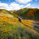 Image for article titled California’s colorful super blooms, in pictures